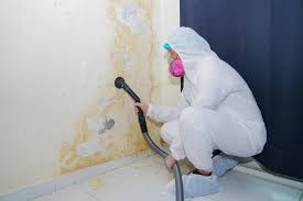 Best Emergency Mold Remediation  in Suisun City, CA